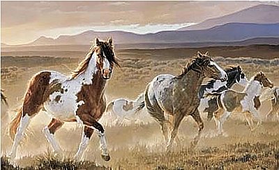 Desert Horses Mural HJ6717M by York