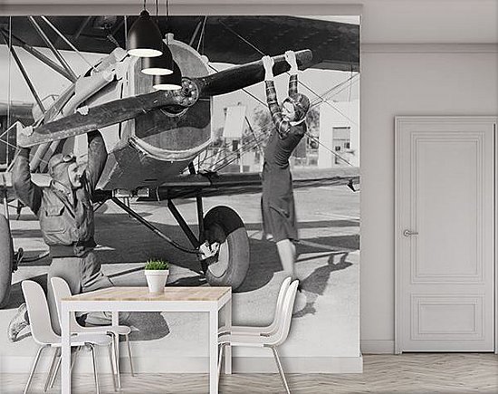 Come Fly With Me Wall Mural