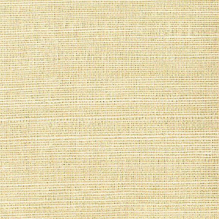 Klaudia Champagne Foil Grasscloth Wallpaper