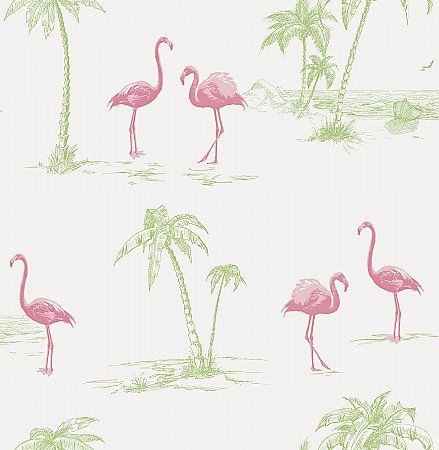 Sarasota Pink Flamingos Wallpaper
