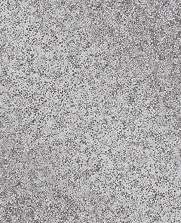 Dandi Grey Floral Wallpaper
