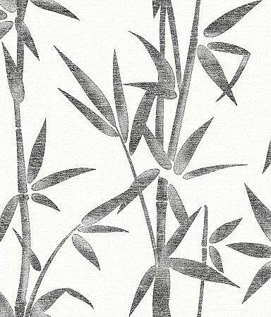 Catasetum Black Bamboo Wallpaper