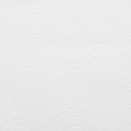 Brier Paintable Plaster Texture Wallpaper