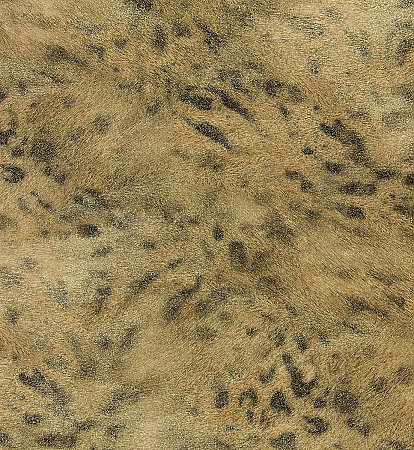 Umbria Brown Jaguar Wallpaper