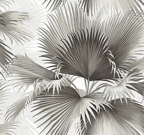 Summer Palm Charcoal Tropical Wallpaper