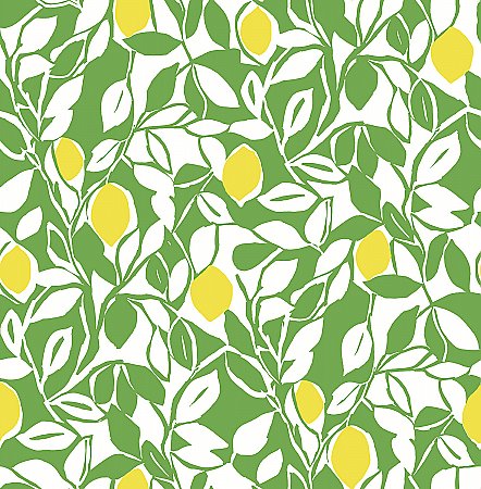 Loretto Lime Citrus Wallpaper