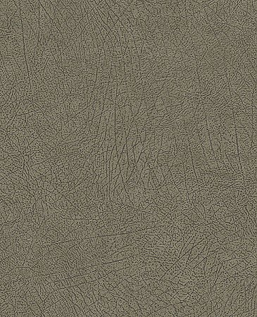 Latigo Olive Leather Wallpaper