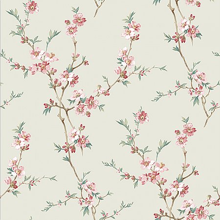 Cherry Blossom Sage Trail Wallpaper