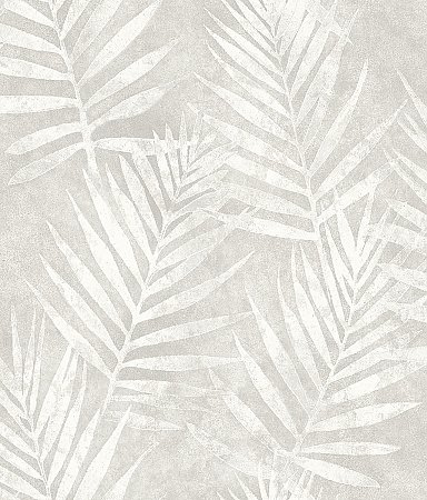 Amador Silver Palm Wallpaper