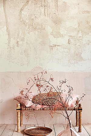 Pale Pink Weathered Wall Mural