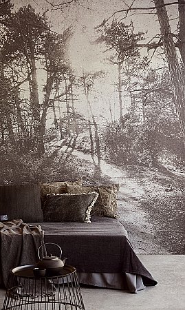 Into The Woods Wall Mural