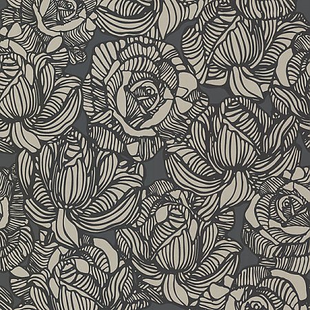 Calista Black Modern Rose Wallpaper