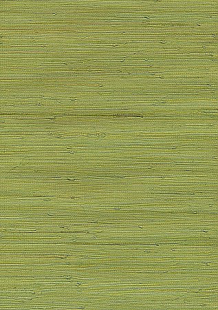 Jirou Green Grasscloth Wallpaper