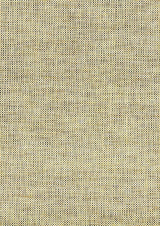 Xue Brown Grasscloth Wallpaper