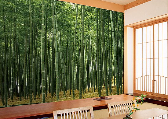 Bamboo Plantation Japan Wall Mural