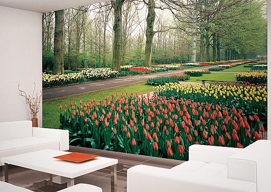 Tulips Garden Netherlands Wall Mural