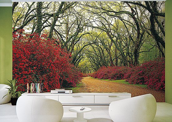Red Flower Path Through Woods Wall Mural