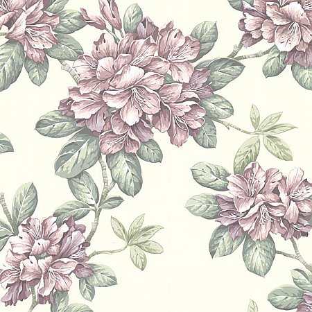 Bree Blush Lily Trail Wallpaper