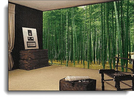 Bamboo Plantation Japan