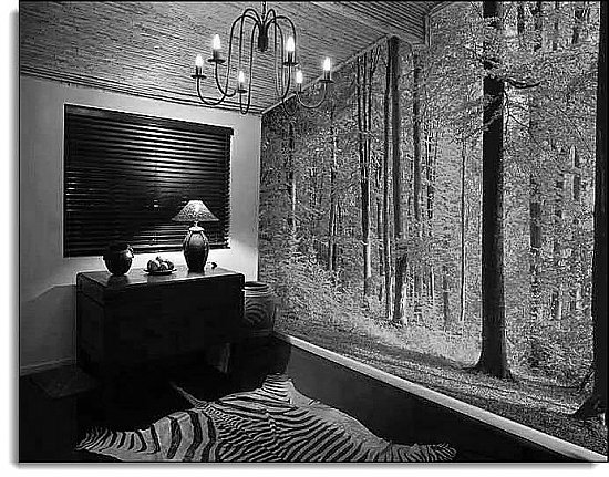 Grand Forest Black and White roomsetting