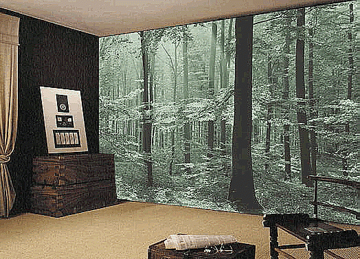 Magic Forest Mural 8051