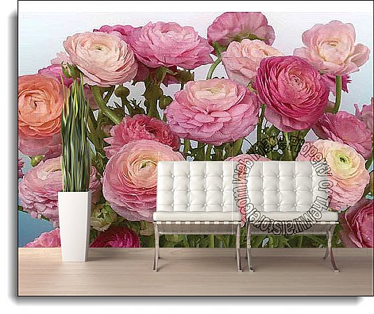 Buttercaps Blooms Roses Wall Mural DS8056 