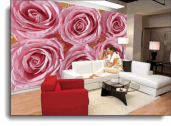 Pink Lady Wall Mural