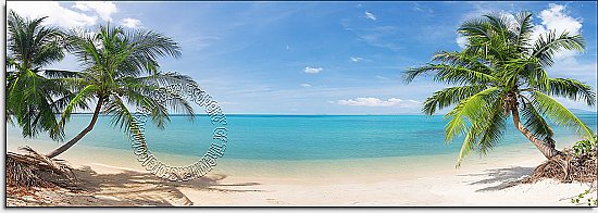 Coconut Beach Panoramic One-piece Peel & Stick Canvas Wall Mural