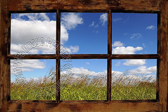 Country Meadow Window Peel and Stick Canvas Wall Mural