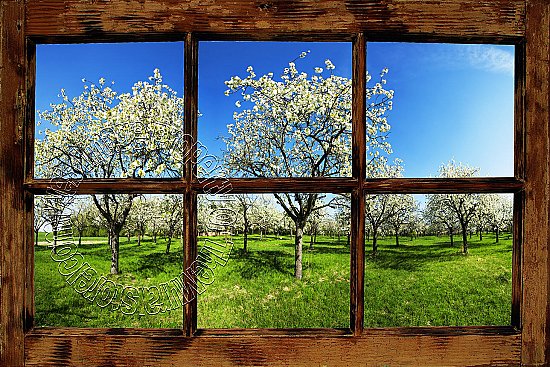 Orchard Window (Rustic) 1-piece Peel & Stick Canvas Wall Mural