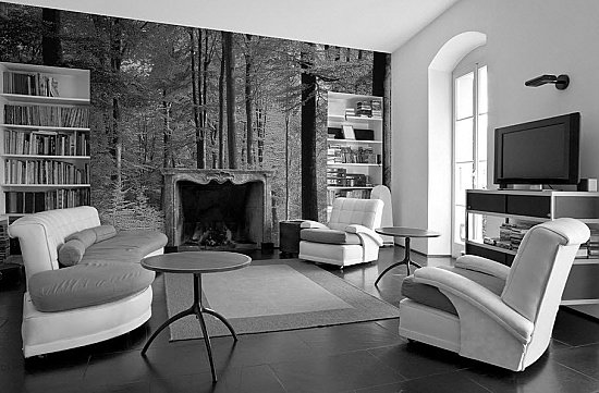 Grand Forest Black and White Room
