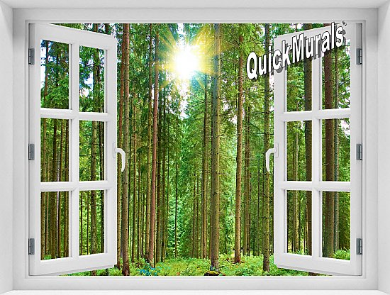 Morning Forest Window Mural