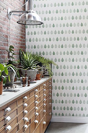 Greenhouse Green Leaves Wallpaper