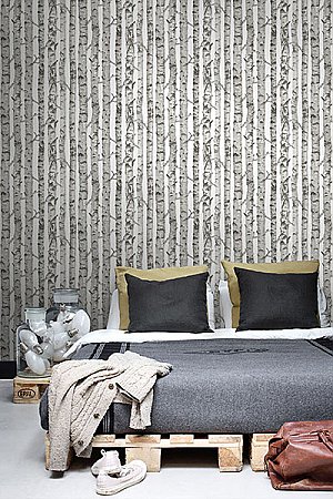 Merman Light Grey Birch Tree Wallpaper