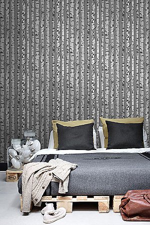 Merman Grey Birch Tree Wallpaper