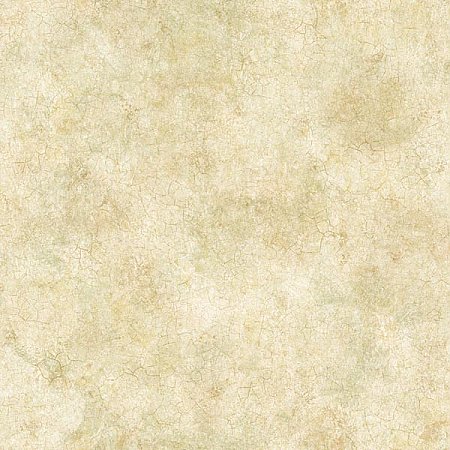Key West Olive Coral Texture Wallpaper