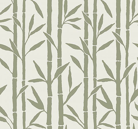 Bamboo Grove Wallpaper