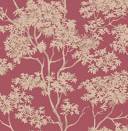 Simon Red Maple Tree Wallpaper