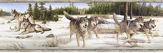 Shiloh White Wintry Wolf Portrait Border