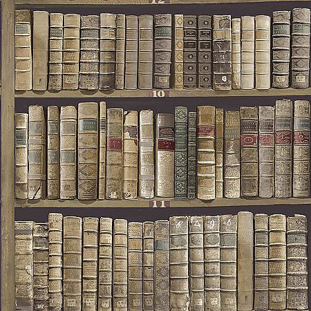Trinity Library Green Book Wallpaper