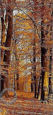 Autumn Forest Mural