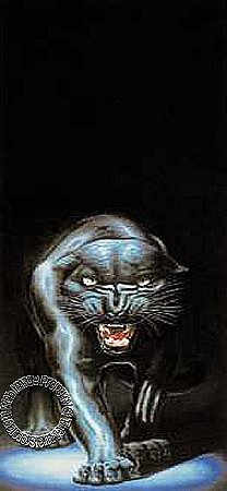 Black Panther Mural 5085