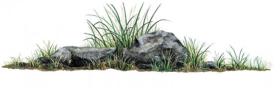 Rock Grass Peel & Stick Applique 180700