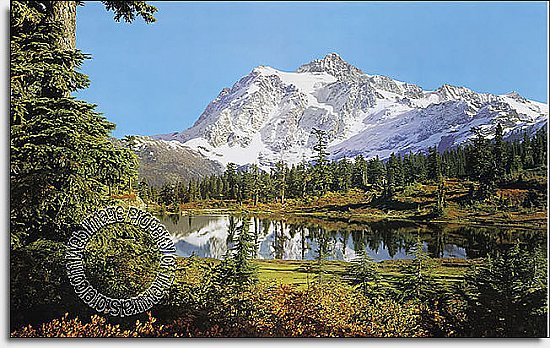 Rocky Mountains Mural 8-005