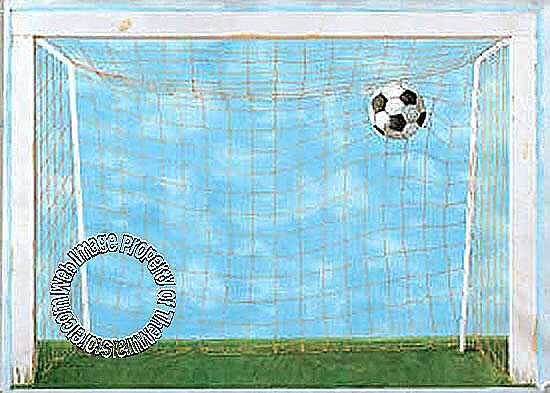 Soccer Net Mural BH1878M