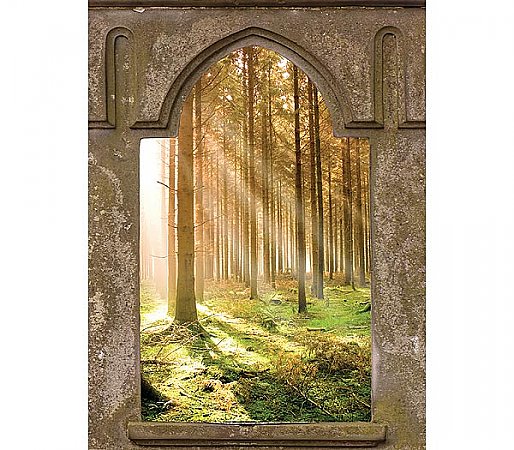 Mystic Forest Window Mural UMB91126