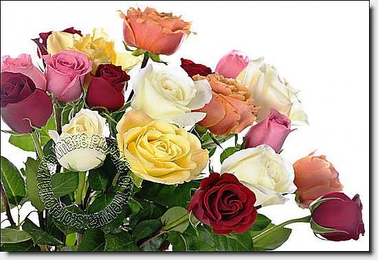 Bouquet Of Roses Peel & Stick Canvas Wall Mural