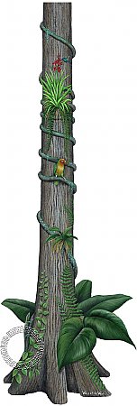 Rainforest Tree Peel & Stick Applique 180109