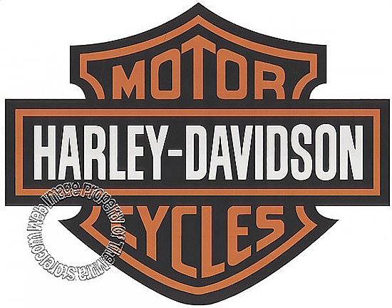 Harley Bar & Shield Mural Hot Deal
