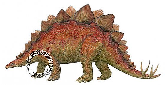 Stegosaurus Peel & Stick Applique 192005